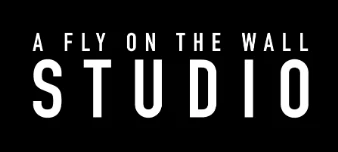 A Fly On The Wall Studio