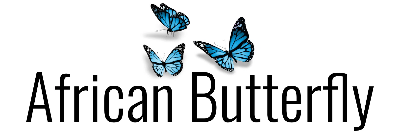 African Butterfly