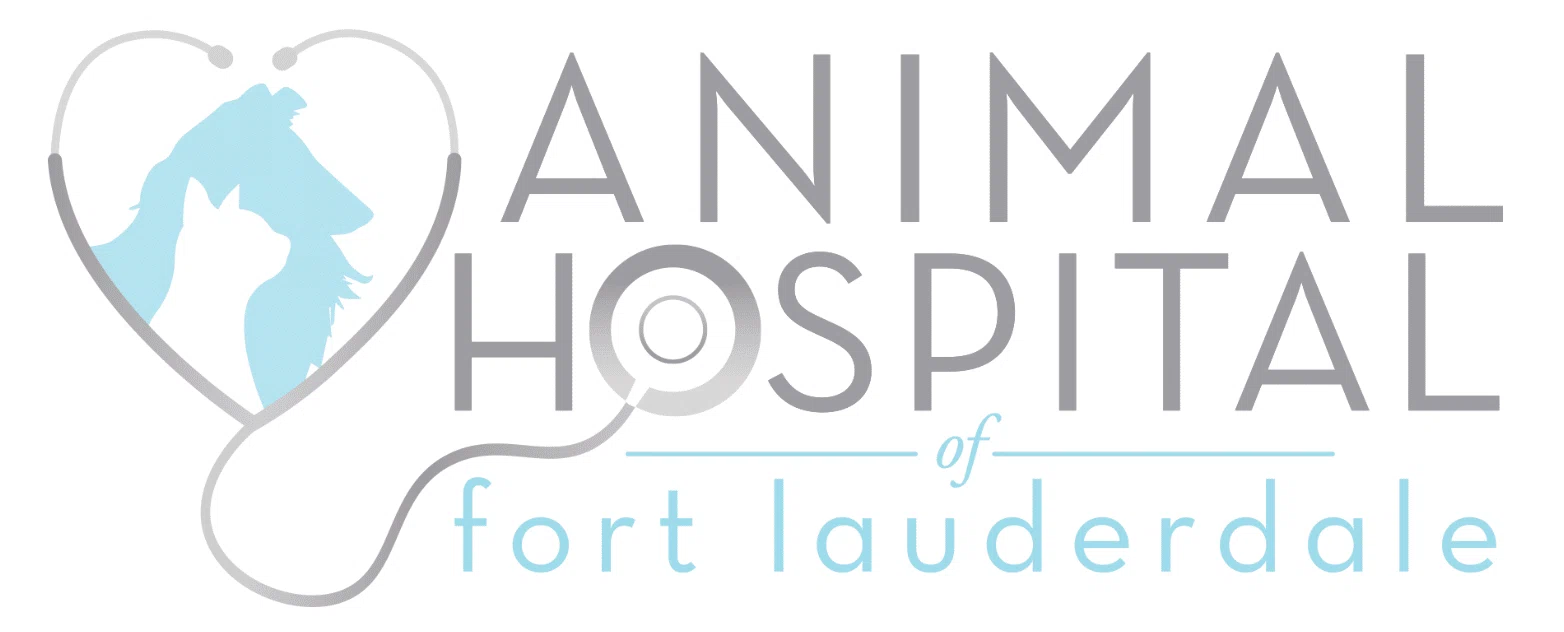 Animal Hospital of Fort Lauderdale
