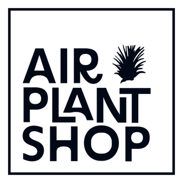 Air Plant Shop