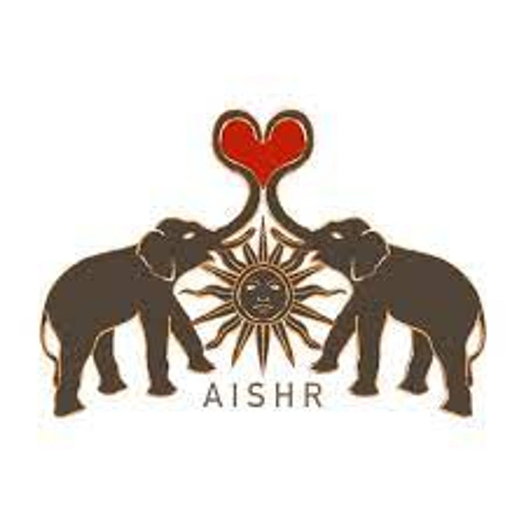 Aishr The Store logo
