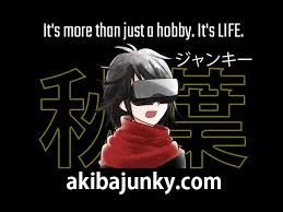 Akiba Junky