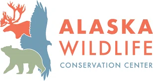 Alaska Wildlife Conservation Center