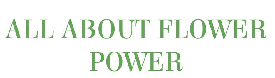 All About Flower Power