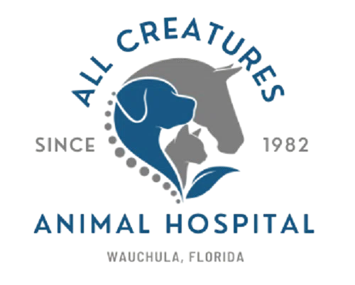 All Creatures Animal Hospital
