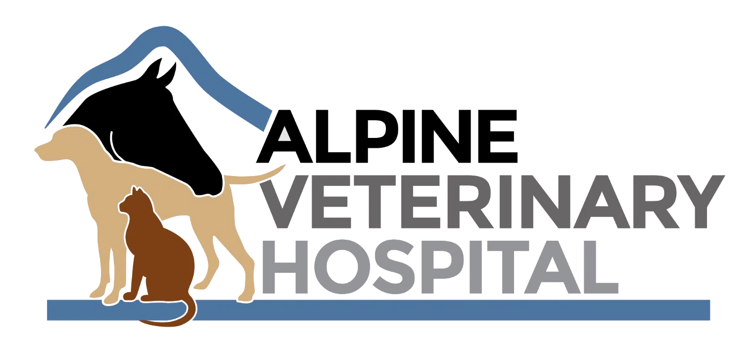 Alpine Veterinary Hospital