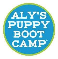 Alys' Puppy Bootcamp