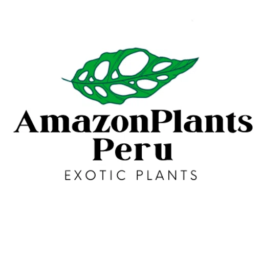 Amazon Plants Peru