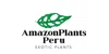 Amazon Plants Peru