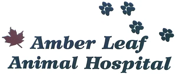 Amber Leaf Animal Hospital
