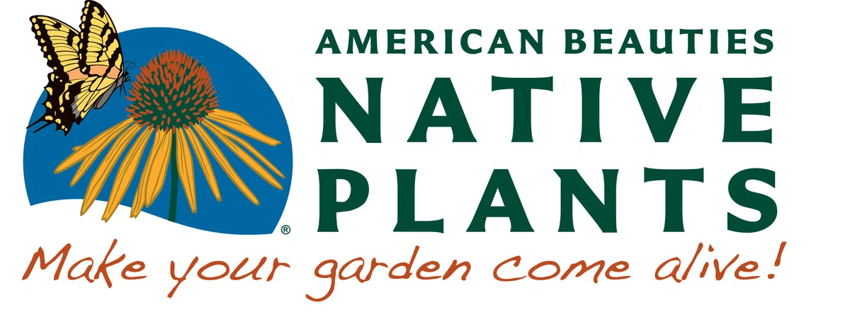 American Beauties Native Plants
