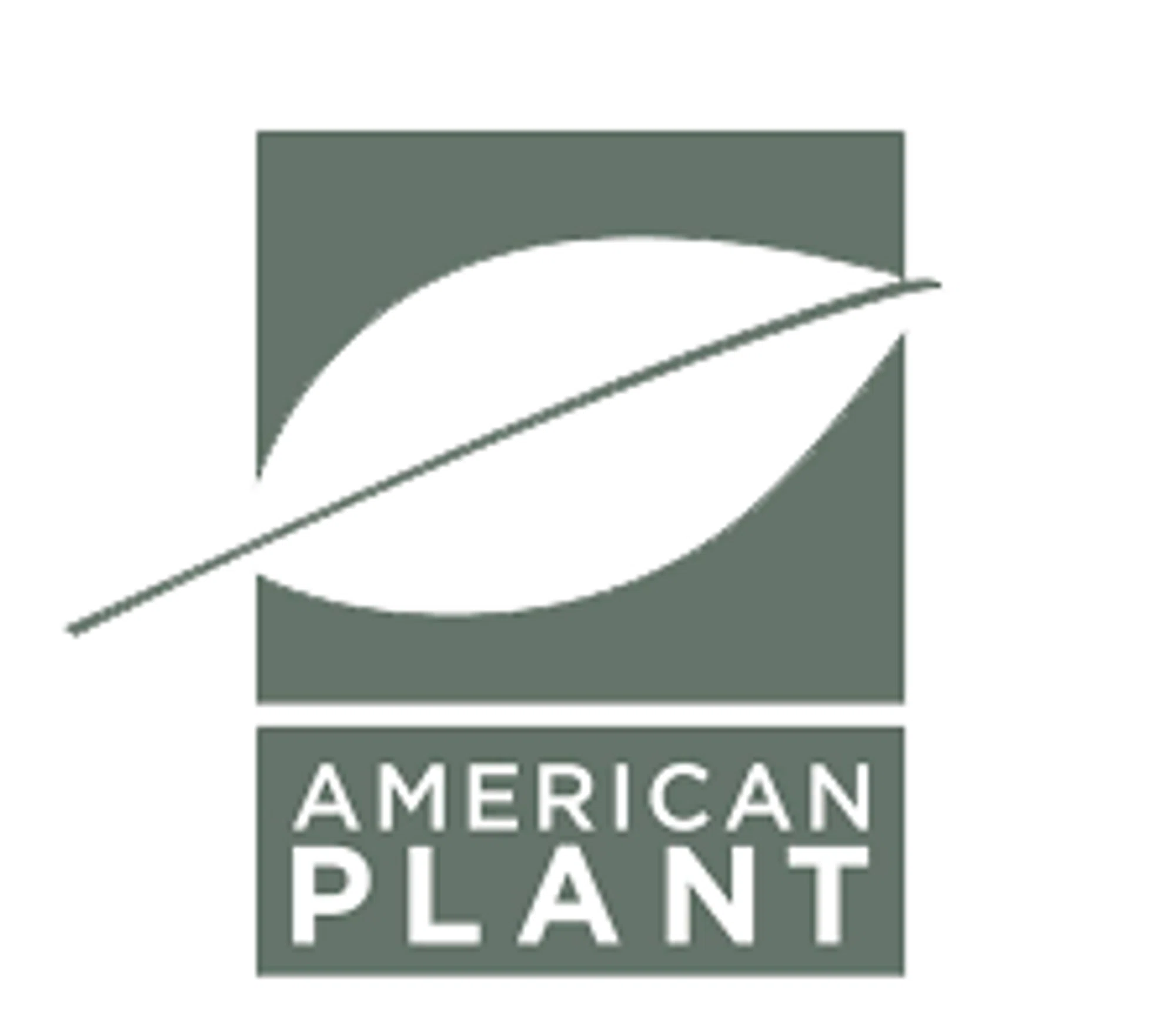 American Plant