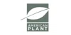 American Plant