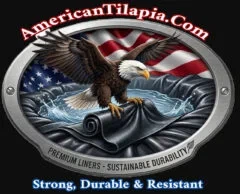 AmericanTilapia