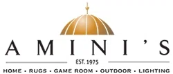Amini's