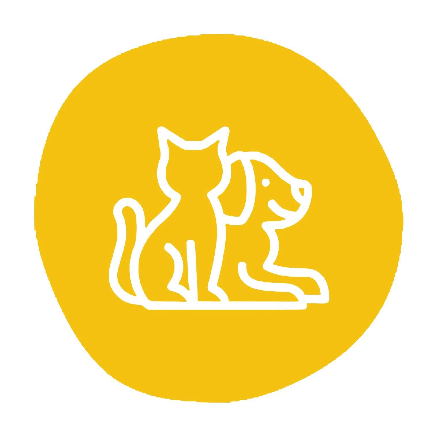 Amivo