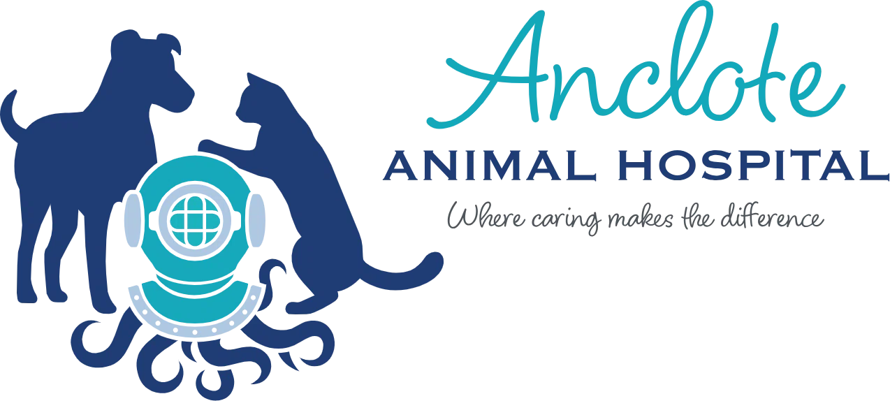 Anclote Animal Hospital