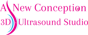 A New Conception 4D Ultrasound Studio