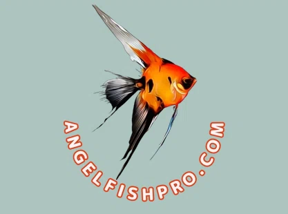 AngelfishPro