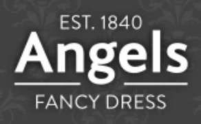 Angels Fancy Dress