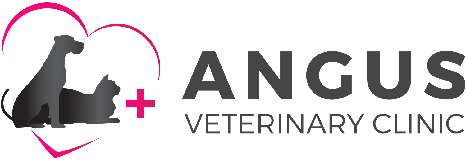 Angus Veterinary Clinic