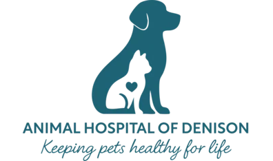 Animal Hospital of Denison