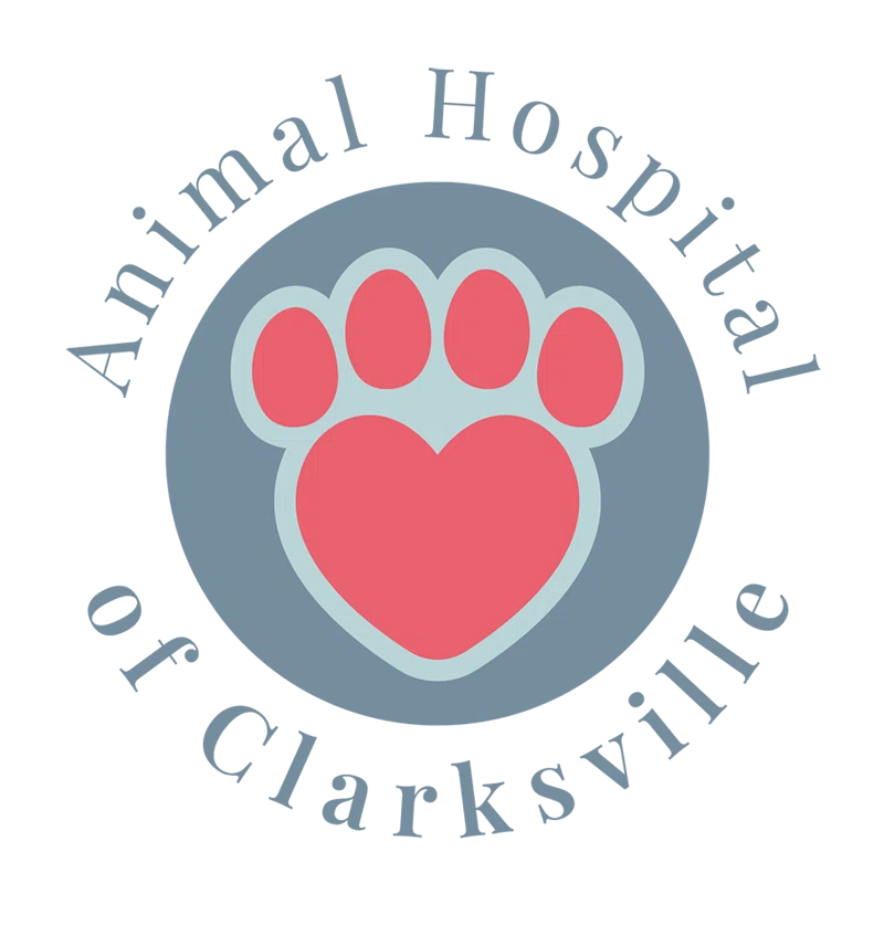 Animal Hospital of Clarksville