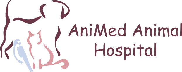 AniMed Animal Hospital