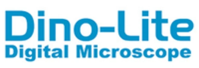 AnMo Electronics Corporation