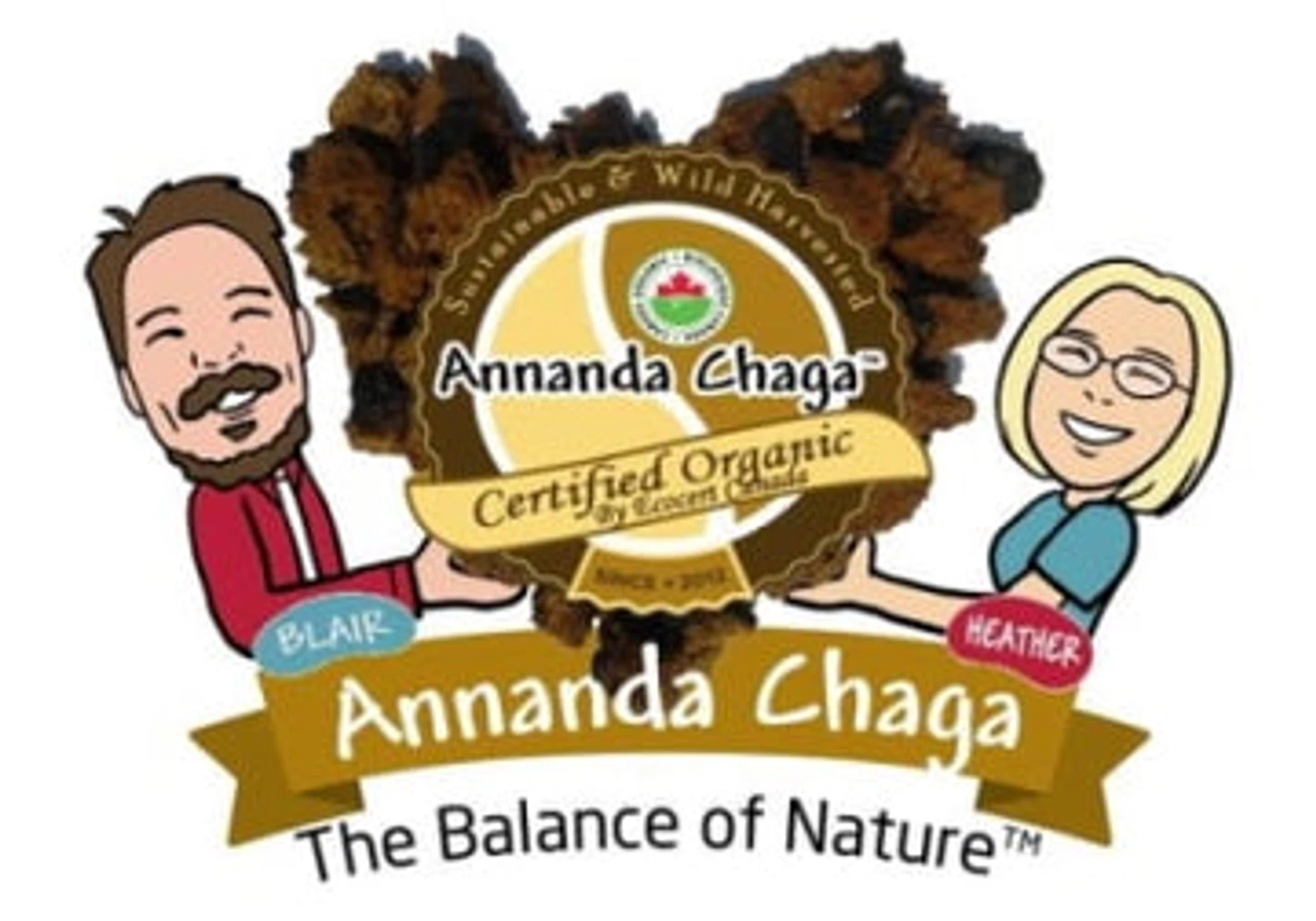 Annanda Chaga Mushrooms
