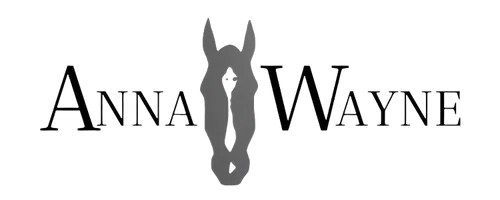 Anna Wayne Clothing Company