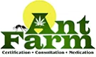 Ant Farm