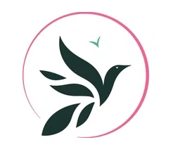 Anti Diet Designs