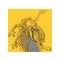 Antlion Farms