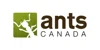 AntsCanada logo