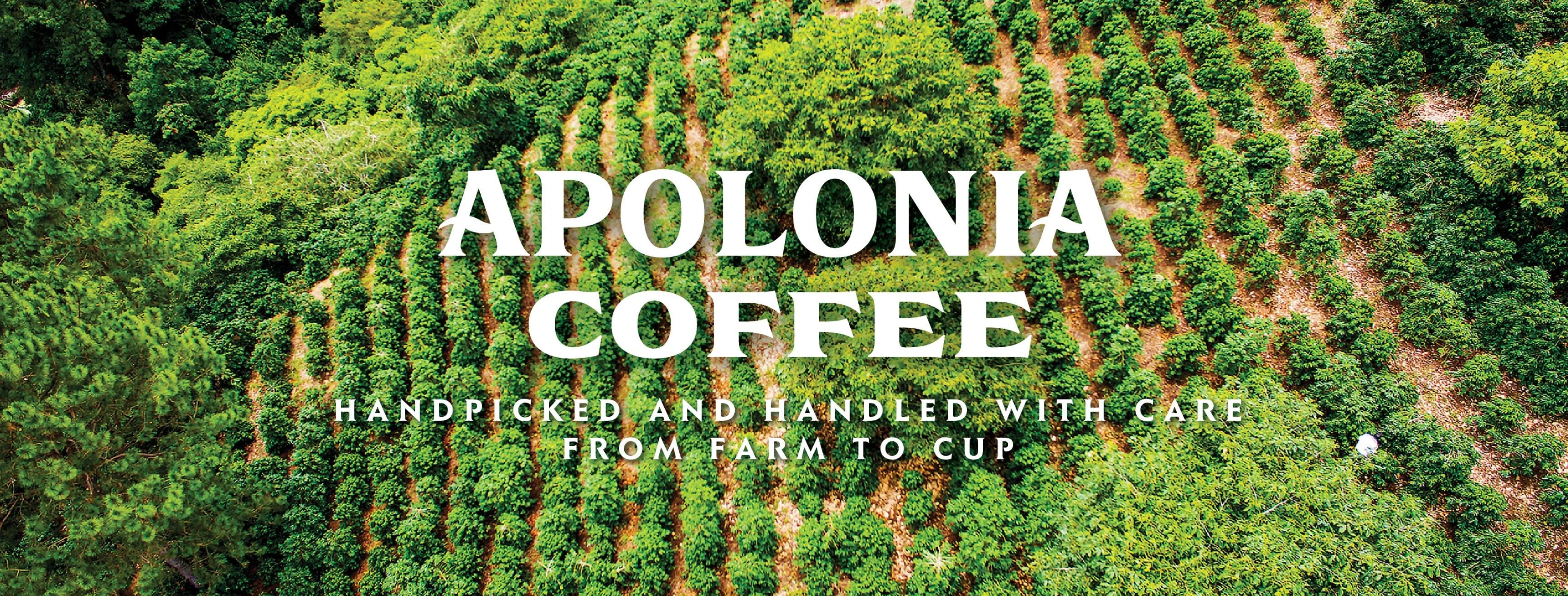Apolonia Coffee