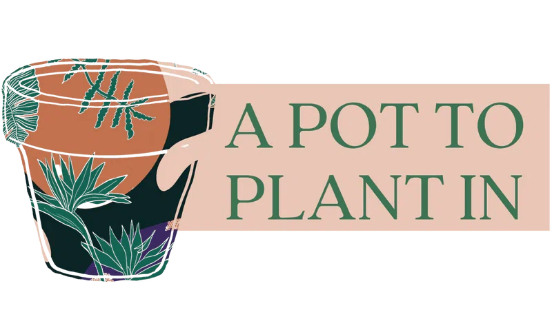 A Pot to Plant In