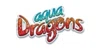 Aqua Dragons