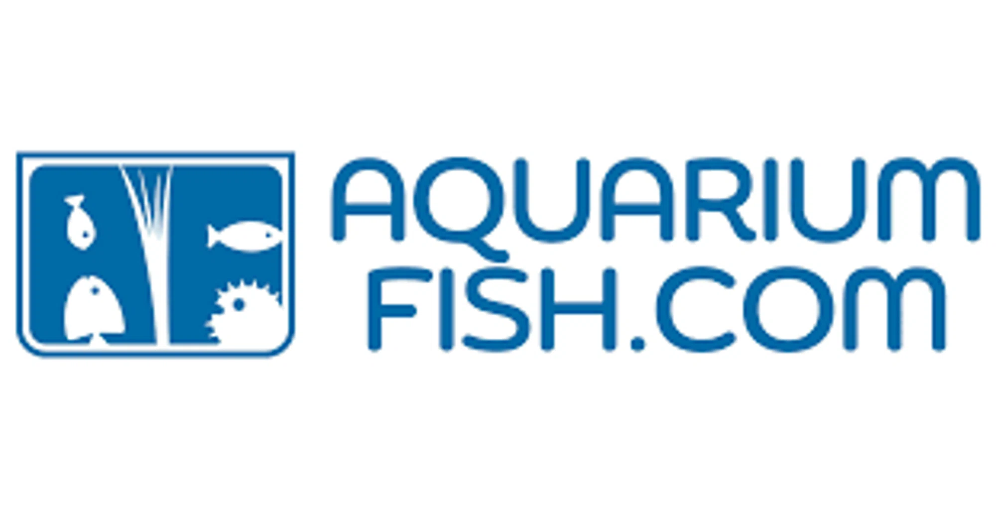 Aquarium Fish Sale