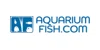 Aquarium Fish Sale