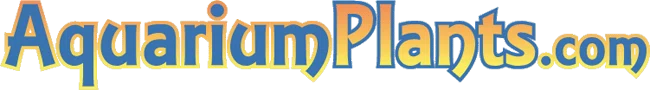 Aquarium Plants