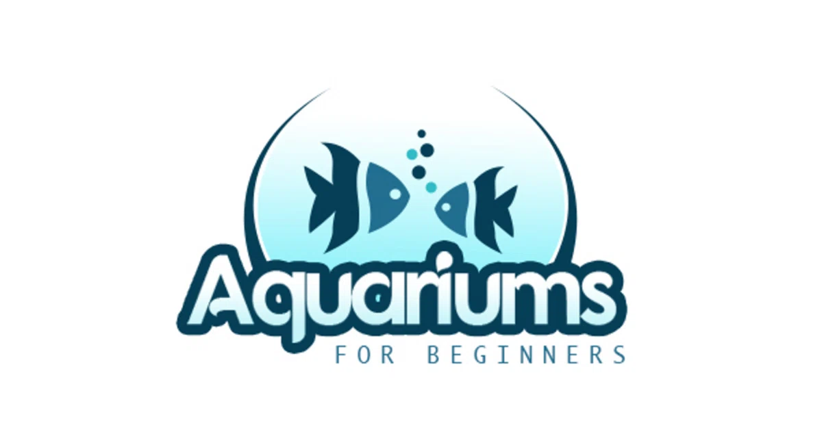 Aquariums For Beginners