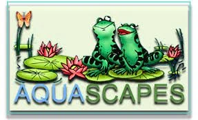 Aquascapes