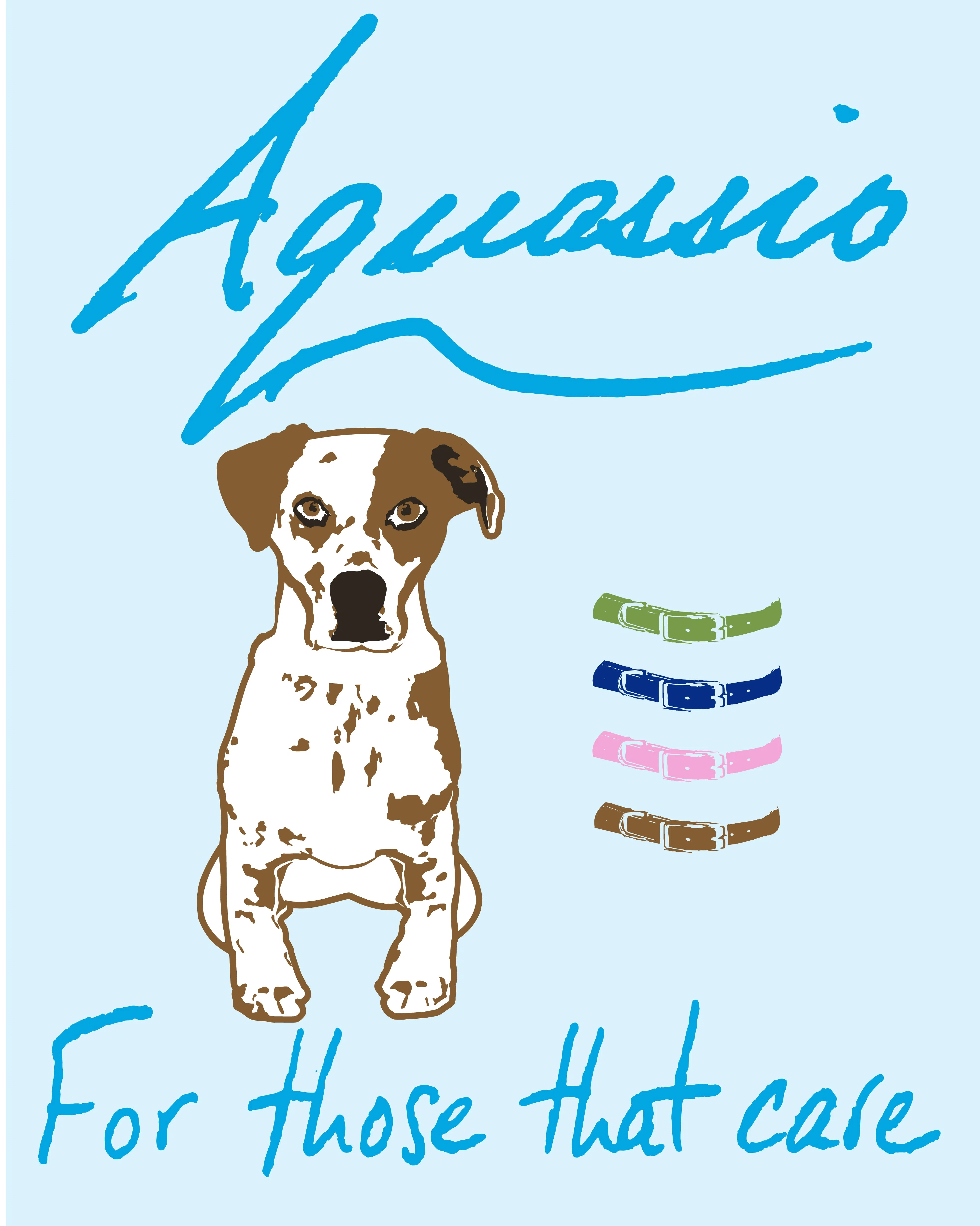 Aquassio