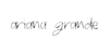 Ariana Grande Shop