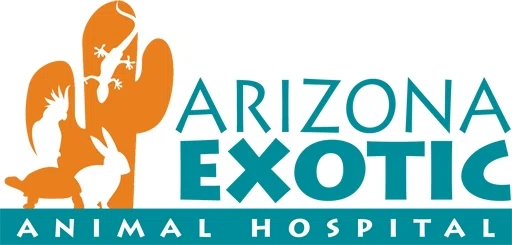 Arizona Exotic Animal Hospital