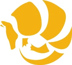 Armadillo Safe and Vault