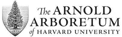 Arnold Arboretum of Harvard University