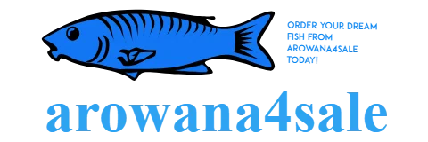 Arowana for sale online