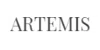 ARTEMIS Mask logo